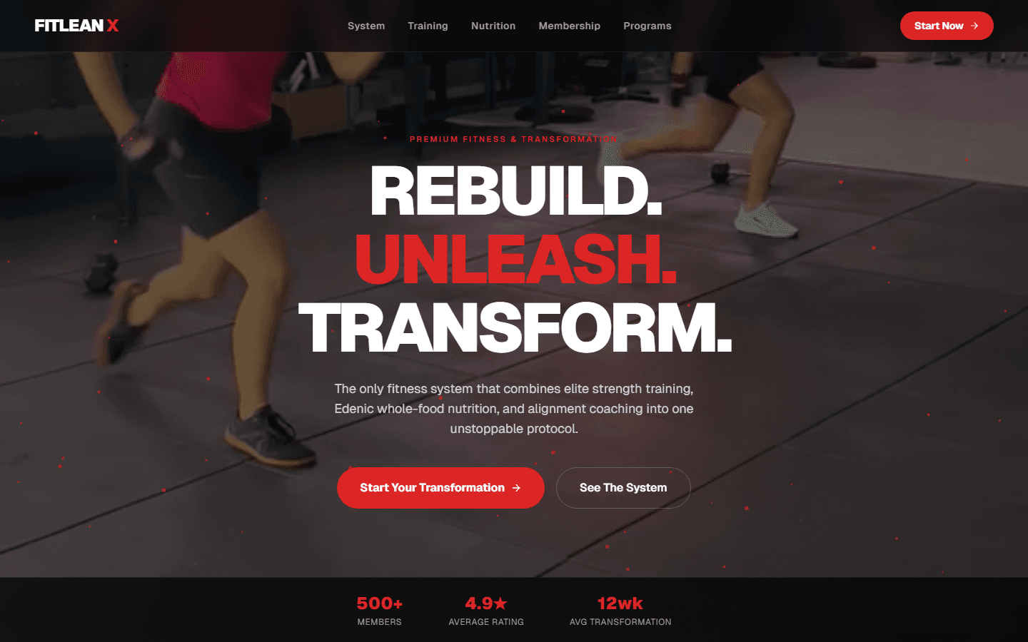 FitleanX website
